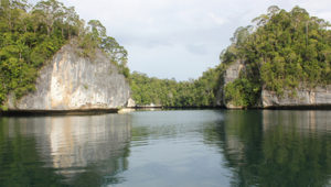 raja-ampat-yang-menjadi-surga-papua