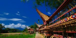 Merasakan Sensasi Negeri di Atas Awan di Toraja