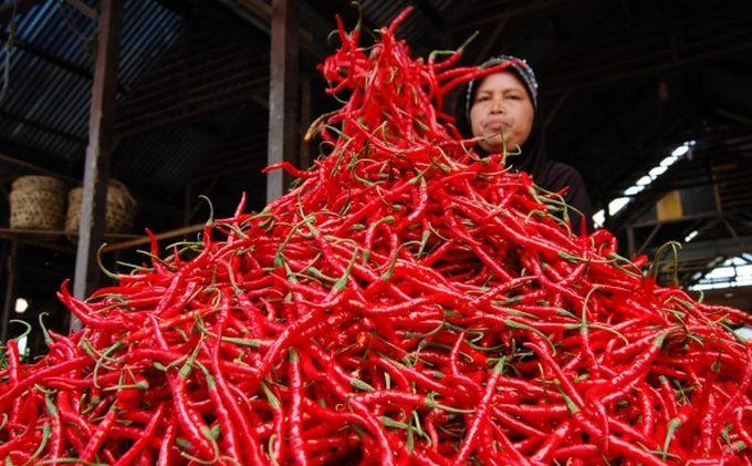 Harga Cabai Masih Bergejolak Menjelang Lebaran