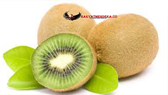 Inilah Kandungan Yang Terdapat Pada Buah Kiwi