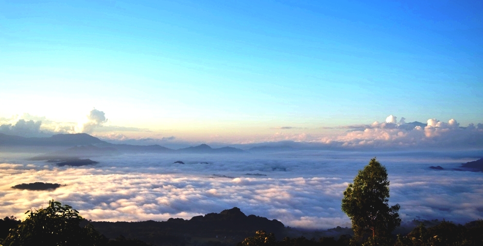 Merasakan Sensasi Negeri di Atas Awan di Toraja