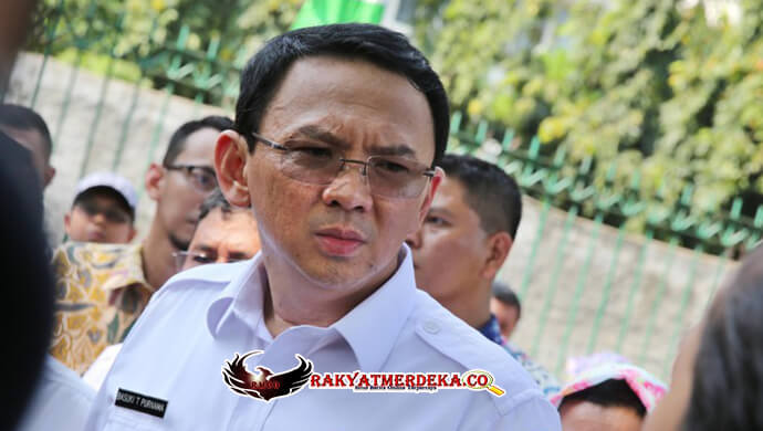 respon-ahok-deklarasi-a-dhani-ogah-ambil-pusing