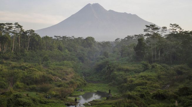 Monyet-monyet Penghuni Gunung Merapi Kirim Tanda Alam